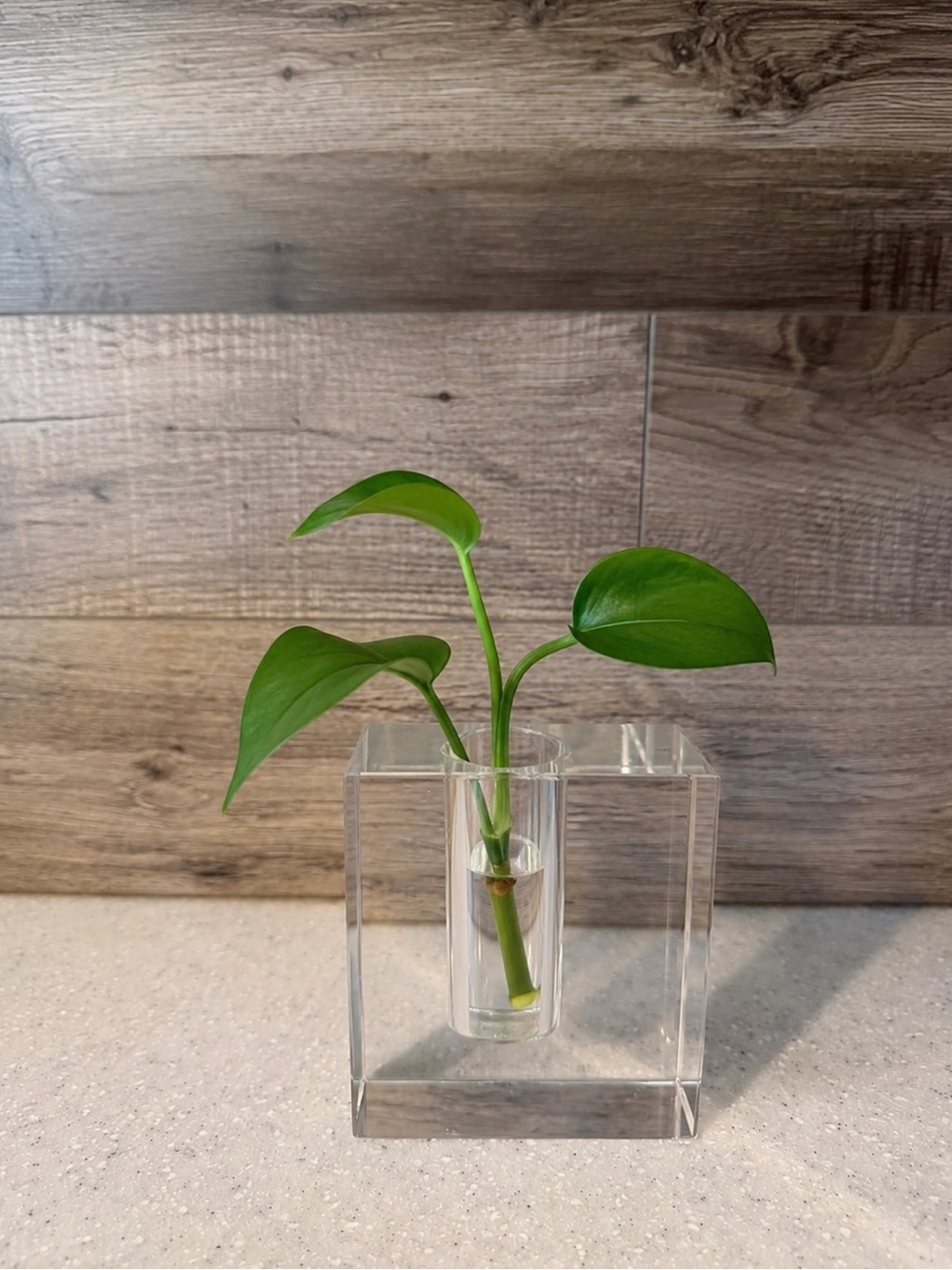 Vintage MCM Clear Crystal Block Bud Vase Heavy Minimalist Propagation Decor